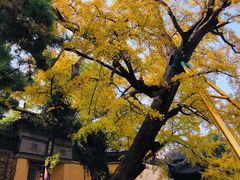 -无锡惠山寺