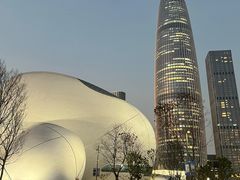 -深圳湾万象城(南山店)