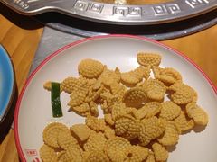 -成老灶火锅鸡(平山店)