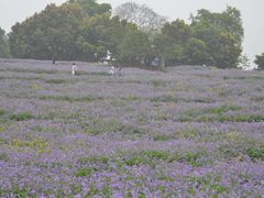 -保利石象湖景区
