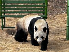 -杭州野生动物世界