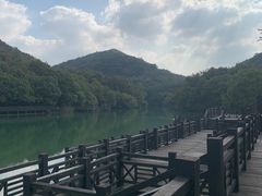 -白马涧龙池景区