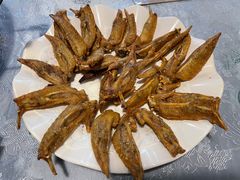 -顺德公美食(西乡店)