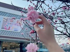 -长生鱼·鲜鱼房(U城店)