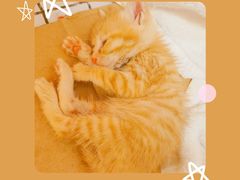 -山之屋炭火烧肉·生啤畅饮(大朗万科中央公园店)