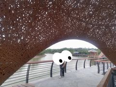 -东寨港红树林旅游区