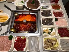 -海底捞火锅(奥体南路店)