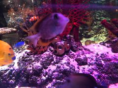 -沈阳海洋探索中心