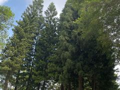 -南国桃园旅游度假区