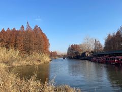 -溱湖国家湿地公园