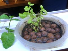-望京一号·重庆江湖菜(工体店)