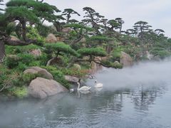 -罗红摄影艺术馆