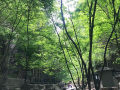 -野三坡百里峡景区