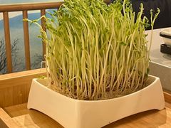 -俏牛哥鲜牛肉牛肆馆(重庆天地店)