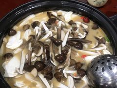 -菌之家·专业纯野生菌火锅·特色炒菌
