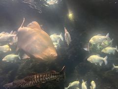 -南昌海洋公园