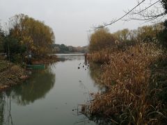 -昆山城市生态森林公园