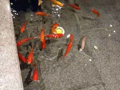 -新沸腾鱼乡(世贸天阶店)