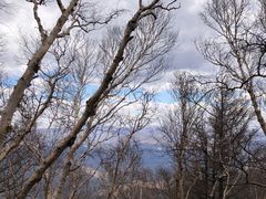 -白草畔自然风景区
