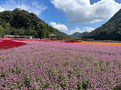 -广州市石门国家森林公园