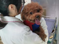 -乐宠动物医院