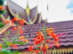 -曼听御花园