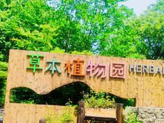 -同里国家湿地公园