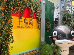 -千岛湖东南湖区
