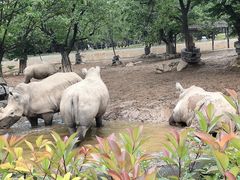 -西安秦岭野生动物园
