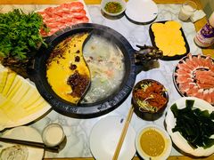 -杨家火锅(国美店)
