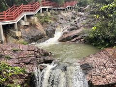 -广州白江湖森林公园