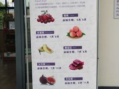-菊园百果园