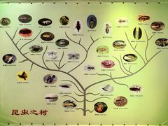 -上海昆虫博物馆