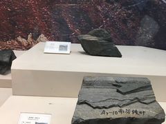-辽宁古生物博物馆