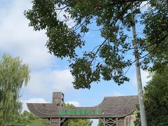 -溱湖国家湿地公园