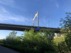 -小绿谷公园