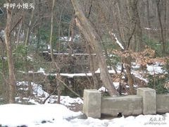 -紫霞湖公园
