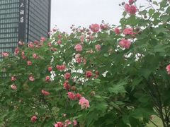 -杭州城北体育公园