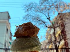 斑斓椰子-Dal Cuore 达可芮冰淇淋(陕西北路店)