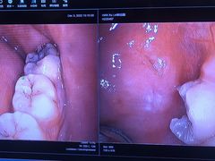 -上海康怡口腔门诊部Alpha Dental