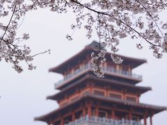 -古柏渡飞黄旅游区