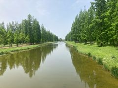 -黄海国家森林公园