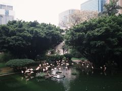 -九龙公园