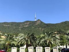 -陈记粤湛鸡饭店