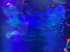 -沈阳海洋探索中心