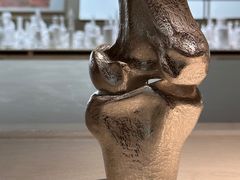 -上海当代艺术博物馆