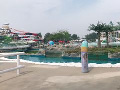 -秦皇岛乐岛海洋王国