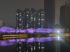 -西北湖绿化广场