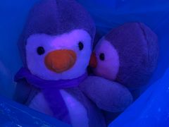 -大玩家(大连高新万达店)