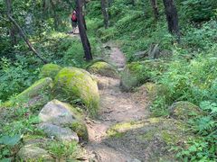 -阳台山自然风景区